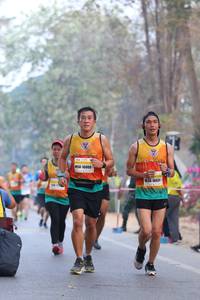 BIB: 16008, 10431
                            <button type="button" onclick="openModal(10410390)" class="btn btn-primary btn-sm float-right btn-popup" data-toggle="modal" data-target=".modal-high-quality">
                        <i class="fas fa-shopping-cart"></i> Add to Cart
                    </button>
                                            <button type="button" onclick="isThisMe(10410390, true)" class="btn btn-success btn-sm float-right btn-popup btn-isme hidden" data-toggle="tooltip" data-placement="bottom" title="นี่คือรูปของคุณใช่ไหม คลิกที่นี่เพื่อเอาเข้าอัลบั้ม">
                        <i class="fas fa-plus"></i> Add to album
                    </button>
                    <button type="button" onclick="isThisMe(10410390, false)" class="btn btn-warning btn-sm float-right btn-popup btn-isnotme hidden">
                        <i class="fas fa-ban"></i> Remove from album
                    </button>
